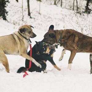 Meet your Posher, Edie
